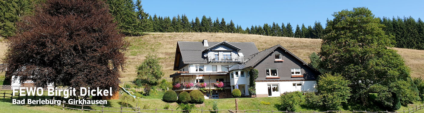Fewo Birgit Dickel - Bad Berleburg Girkhausen